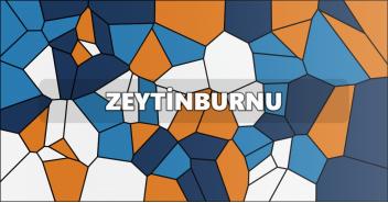Zeytinburnu Klima Servisi