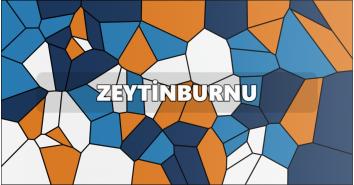 Zeytinburnu Klima Servisi