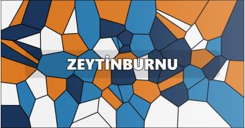 Zeytinburnu Kombi Servisi
