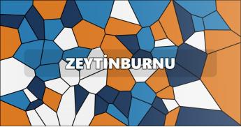 Zeytinburnu Petek Temizleme