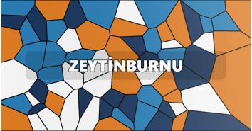 Zeytinburnu Petek Temizleme